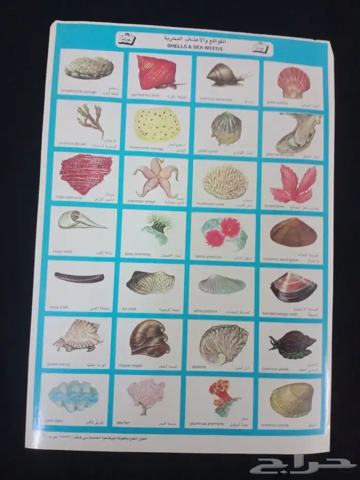 تراثيات الزمن الجميل 18