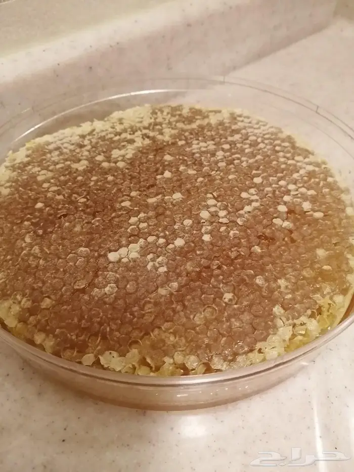 يتوفر لدينا اقساط تابي عسل شمع الأشجار والزهور البرية 0