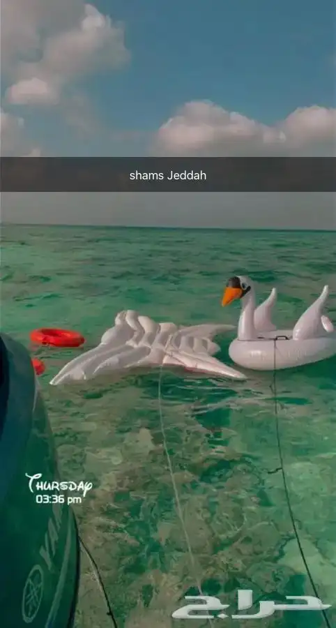 رحلات وحفلات بحرية 10