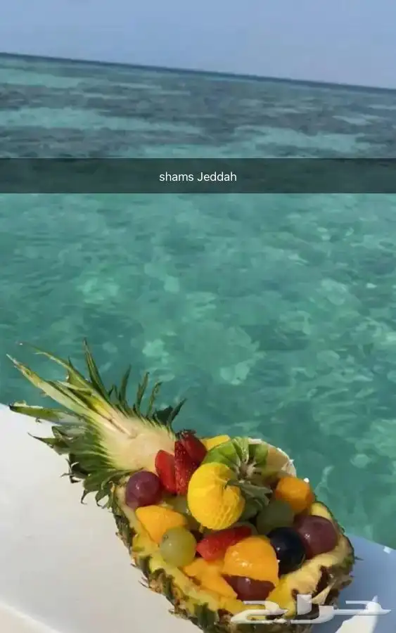 رحلات وحفلات بحرية 13