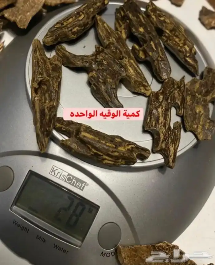 عود - كلمنتان بنتلي 2
