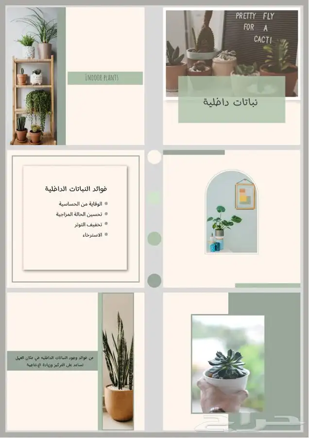 تصميم بوستات سوشل ميديا لأصحاب المشاريع والمتاجر 2