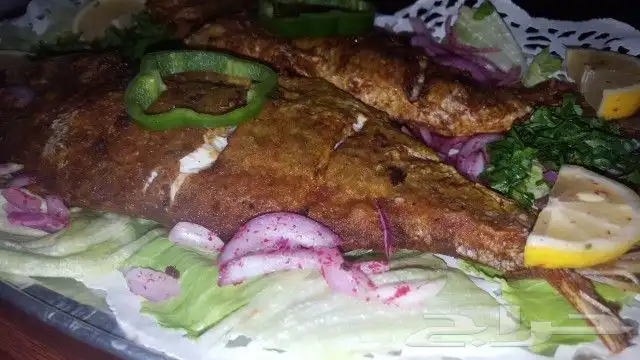 السمك عليك والطبخ علينا 17