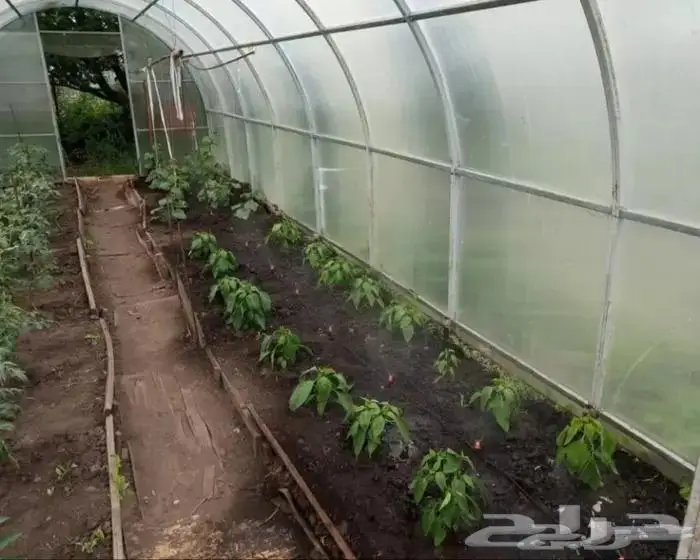 تايمر زراعي للري و السقي 13