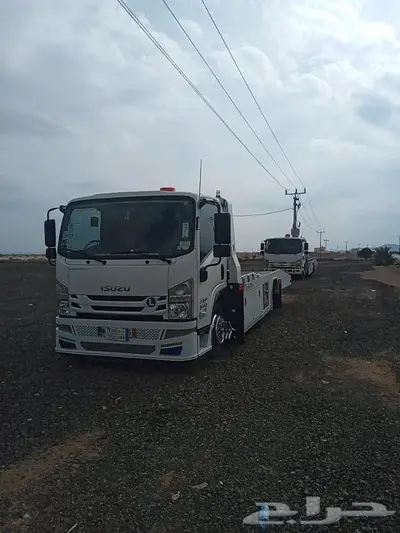 سطحه تيماء 0