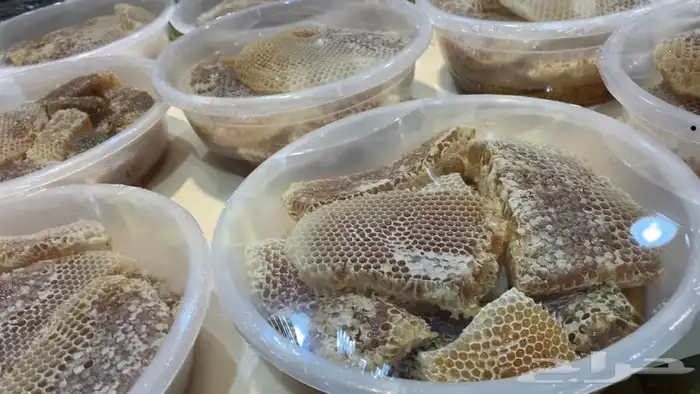 عسل السدره الجبلي وعسل سمر وطلحه وشوكه وغذاء ملكات النحل 1