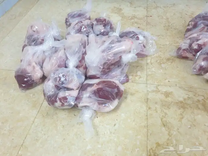 ذبايح حريه فاخره لباب بيتك خرفان تيوس سواكن 10