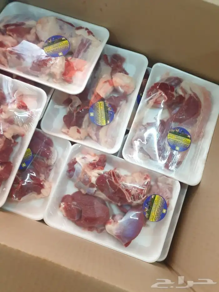 ذبايح حريه فاخره لباب بيتك خرفان تيوس سواكن 9