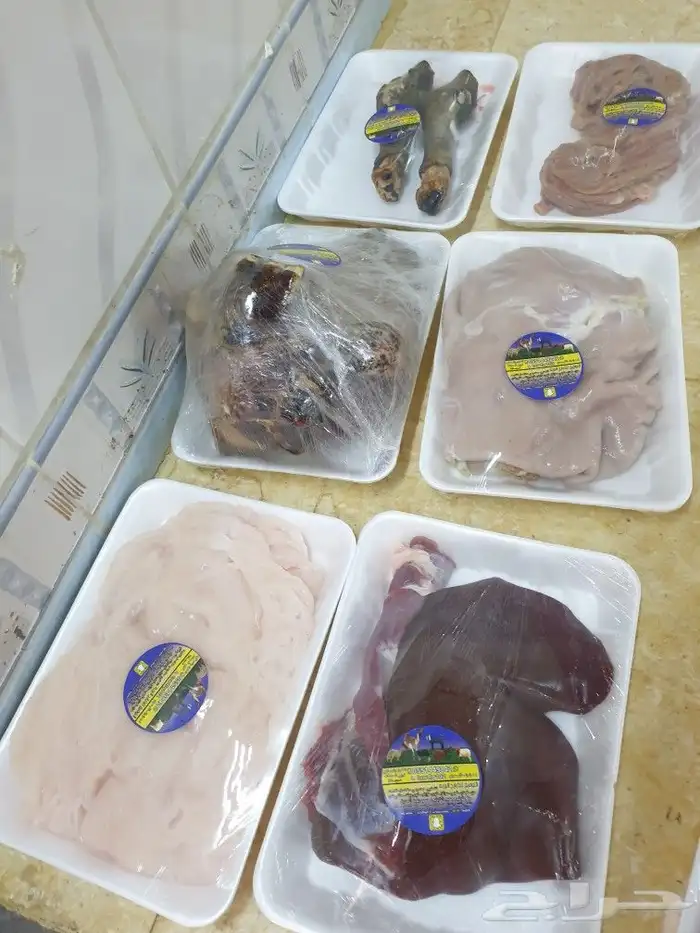 ذبايح حريه فاخره لباب بيتك خرفان تيوس سواكن 6