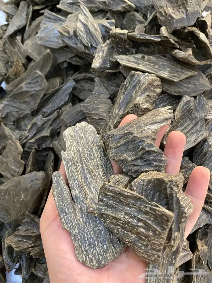 عود مروكي وكمبودي وكلمنتان محسن بسعر الجملة 0