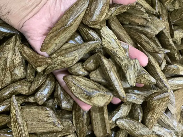 عود مروكي وكمبودي وكلمنتان محسن بسعر الجملة 2