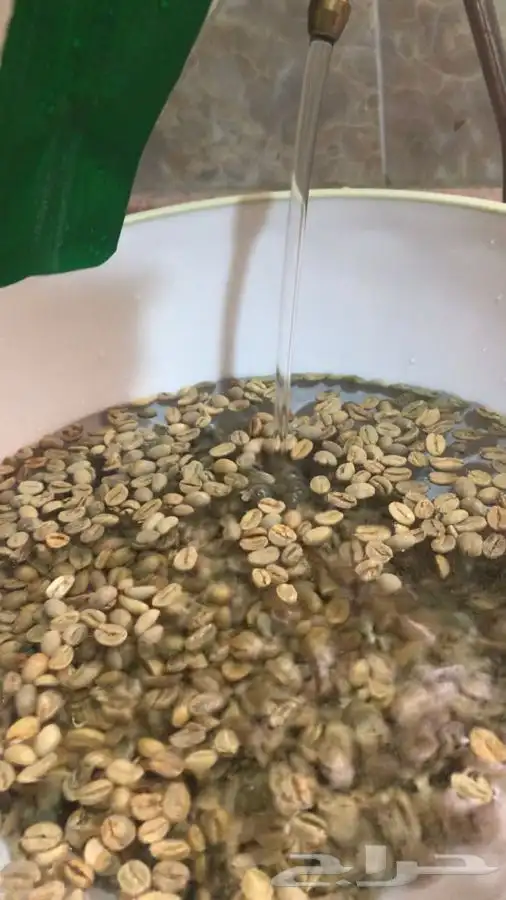 قهوه رجال    2