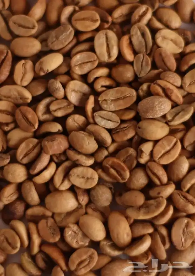 قهوه رجال    4