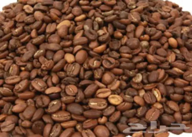 قهوه رجال    0