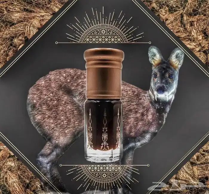عطر اسباني بالذهب الابيض 11