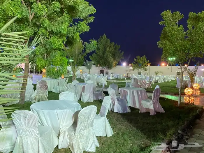 محل الراشدية لتأجير لوازم الأفراح لتأجير زل. 0509229353 12