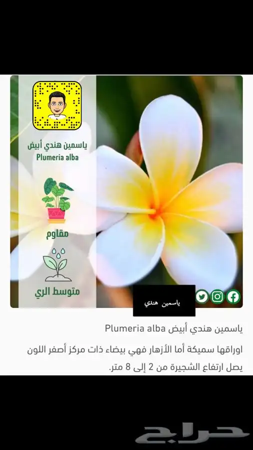 مشتل سعود اشجار   زهور   ورود   متسلقات وجميع مايخص الزراعه 1
