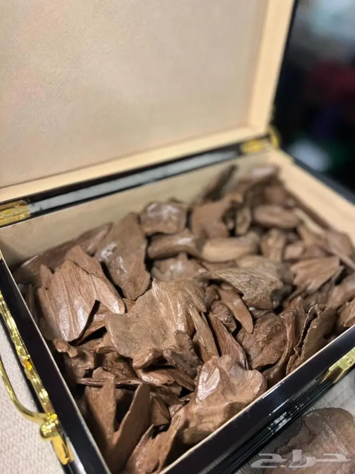عود موروكي تربل صافي قديم ونادر للجادين فقط .. 0
