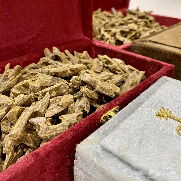 عود بخور مروكي و كلمنتان اسعار الجملة 2