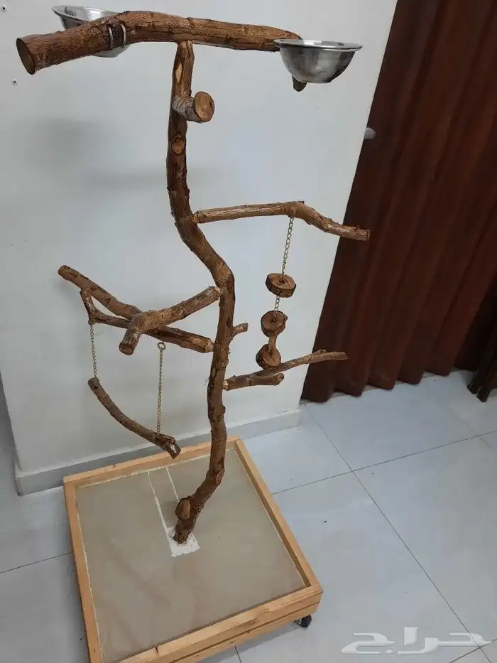 تفصيل استندات ببغاء ب 300ريال كبير 2