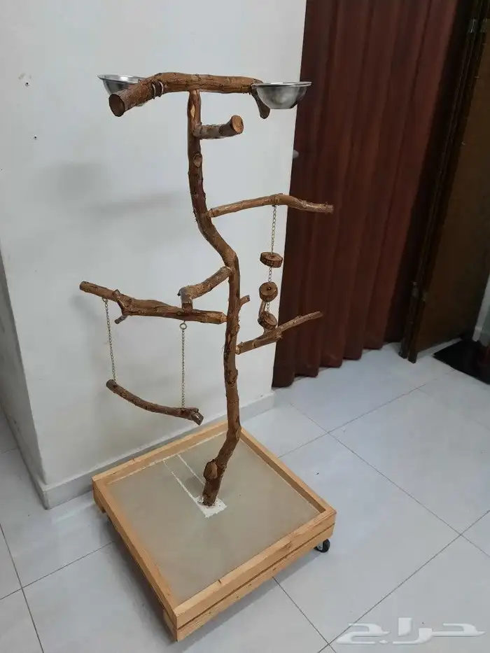 تفصيل استندات ببغاء ب 300ريال كبير 1