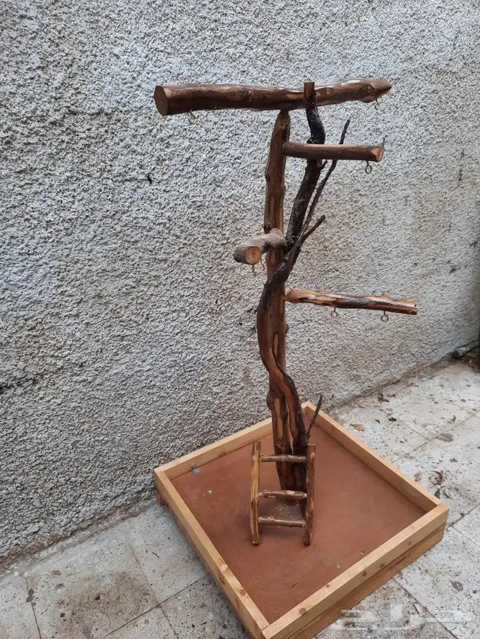 تفصيل استندات ببغاء ب 300ريال كبير 7