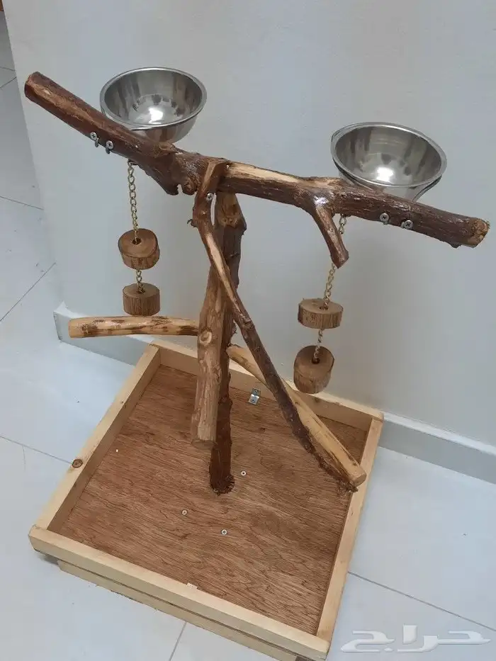 تفصيل استندات ببغاء ب 300ريال كبير 6