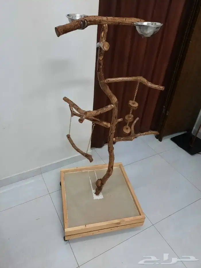 تفصيل استندات ببغاء ب 300ريال كبير 0