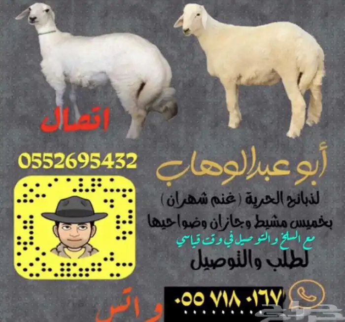 ذبايح خرفان رخال بهم طليان للبيع مع السلخ والتوصيل ت التقيم 12