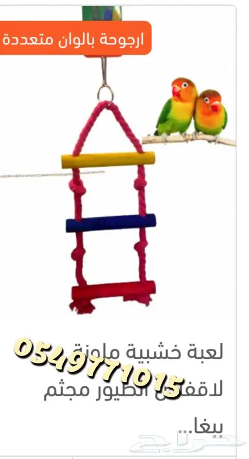 رمل كتن ليتر بوكس دراي فود اكل رطب اكل جاف 39