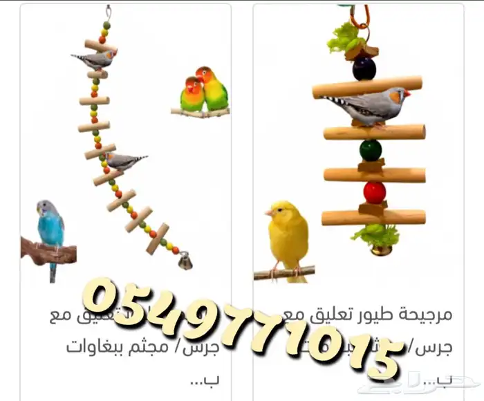 رمل كتن ليتر بوكس دراي فود اكل رطب اكل جاف 35
