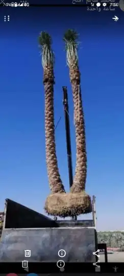 قلع وغرس وتكريب النخيل 3