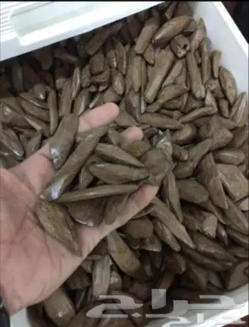 تبي عود بخور يبيض وجهك وبسعر الجملة  تفضل 1