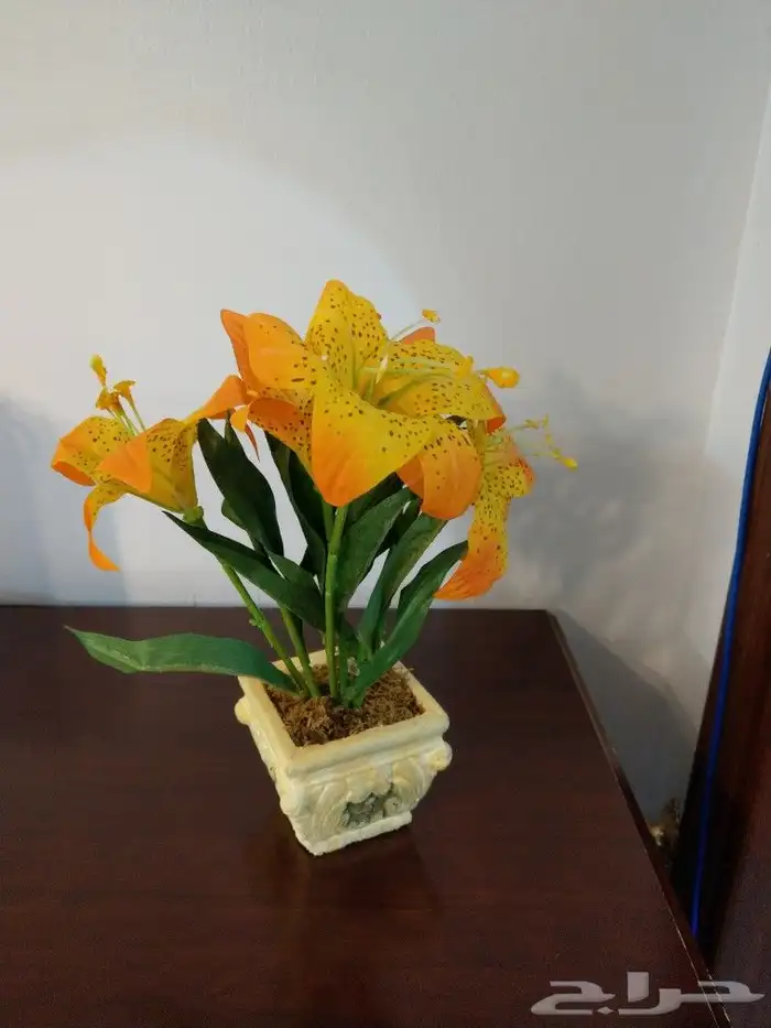 تحف متنوعة ولوحات وشموع 11