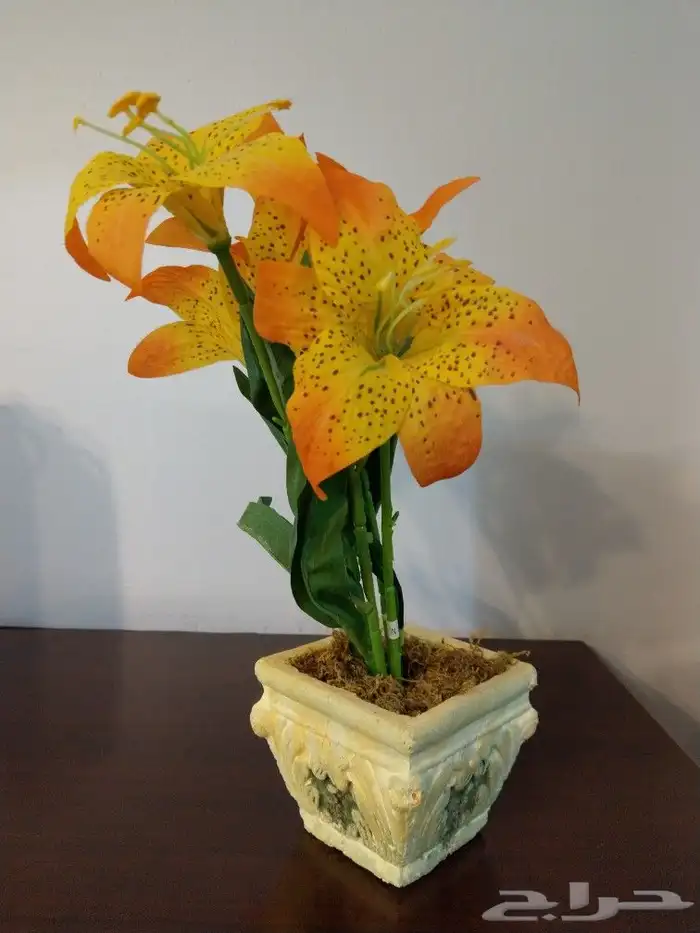 تحف متنوعة ولوحات وشموع 10