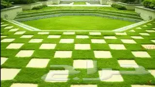 سوق شاط  ا  مرجان 8