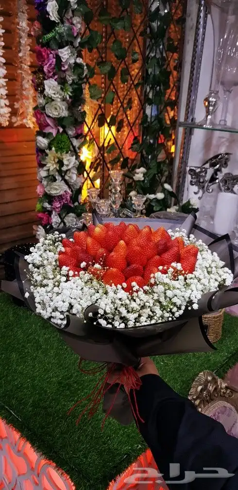 موصل و متسوق جدة 17