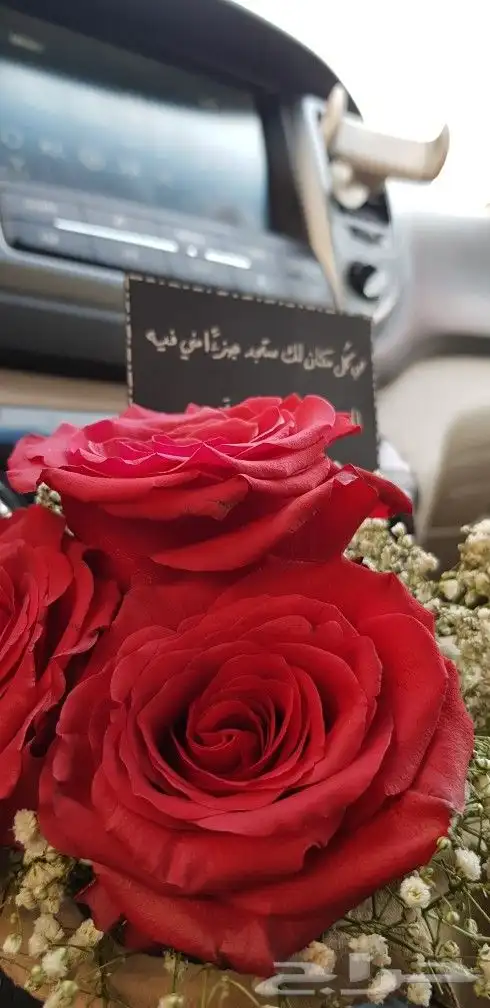 موصل و متسوق جدة 10