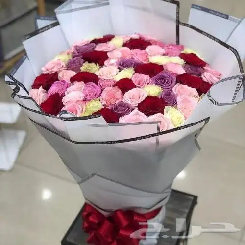 موصل و متسوق جدة 6