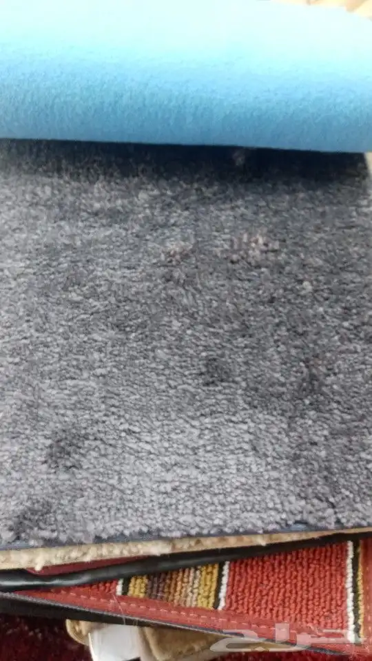 م اتصل نصل اينما كانت موكيت وسجاد وعشاب صناعي 16