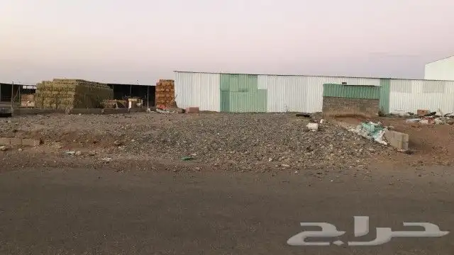 شبك اعلاف او مواشي تربة البقوم لتنازل 4