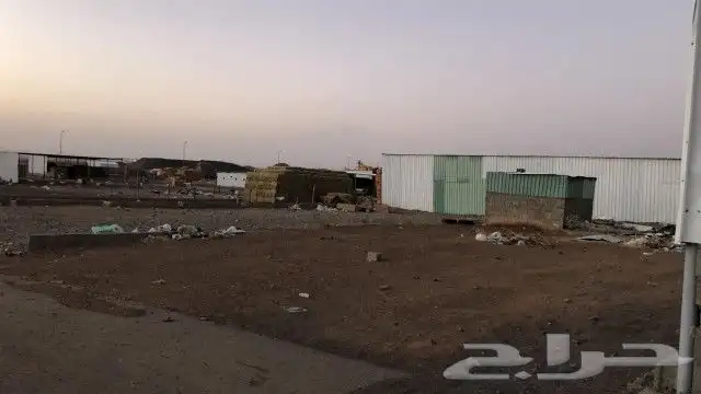 شبك اعلاف او مواشي تربة البقوم لتنازل 2