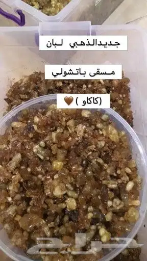 بخور لبان مسقى الذهبي الحوجري الأخضر 24