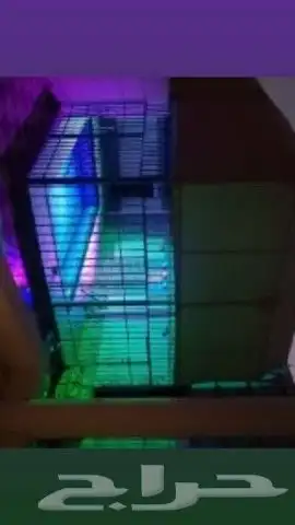 استراحة للايجار بالحرازات 4