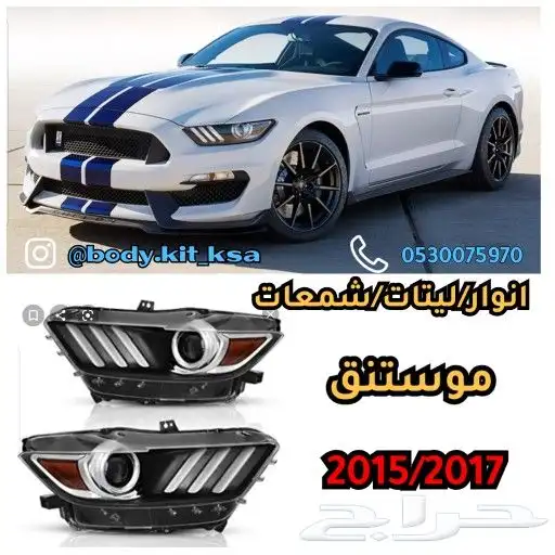 اكسسورات و بدي كت موستنق 0