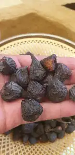 اللوز الجلي وزبيب العنب وزبيب الحماط 9