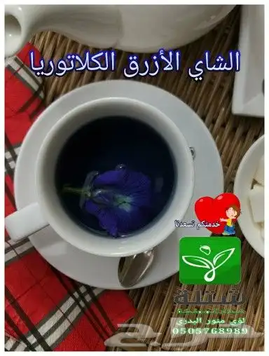 شتلات مانجو جيزان شتلات حمضيات شتلات داخلية برية بحرية 24