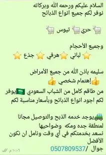 ابو عمر للذبايح فاخر من الاخر 6