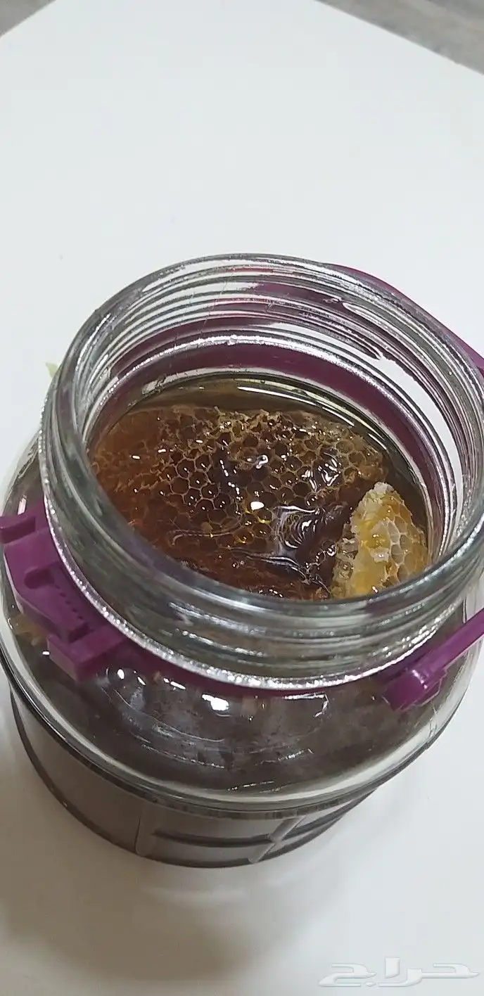 عسل السدر البلدي العلامة الفضية 16