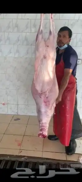 ذبايح للبيع شامل السلخ والتوصيل يوجد مشاوي 2